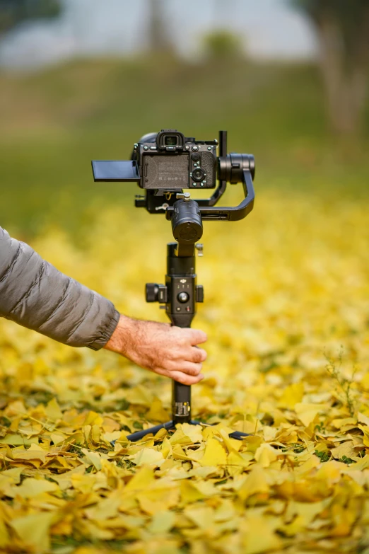 a man holding a camera on a tripod in a field of leaves, inspired by Kanō Shōsenin, mobile gimball camera, product shot, ronin, action post