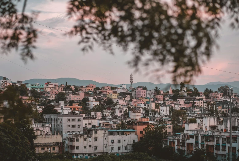 a view of a city from the top of a hill, pexels contest winner, pink hues, stacked image, bushes in the background, split near the left