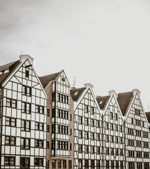 a black and white photo of a row of buildings, by Tobias Stimmer, pexels contest winner, art nouveau, a wooden, tudor, hannover, geometrically correct