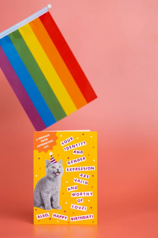 a cat sitting on top of a box next to a rainbow flag, an album cover, by Rachel Reckitt, trending on pexels, birthday card, pink and orange, a book, party hats