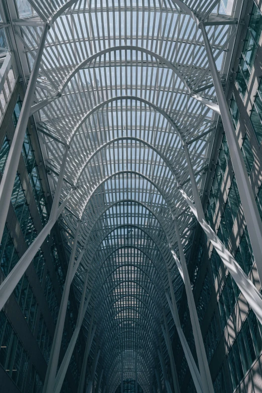 a black and white photo of the inside of a building, inspired by Zaha Hadid, pexels contest winner, as seen from the canopy, toronto, crisp lines and color, tall arches