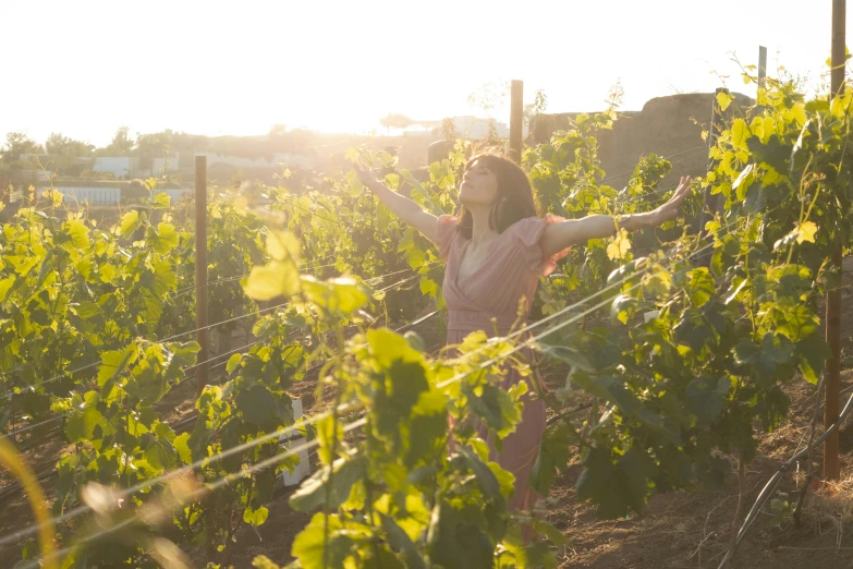 a woman standing in the middle of a vineyard, happening, sun yunjoo, celebrating, profile image, still from the film