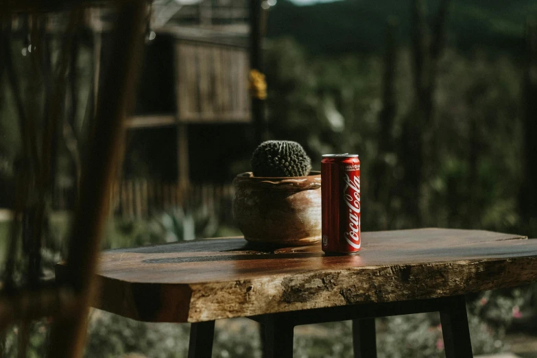 two cans of soda sitting on top of a wooden table, inspired by Elsa Bleda, pexels contest winner, cactus adjacent, forest picnic, coca cola logo, view