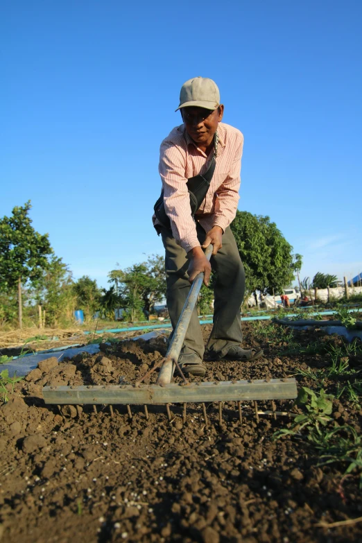 a man that is standing in the dirt with a shovel, happening, rows of lush crops, slide show, working hard, bending down slightly