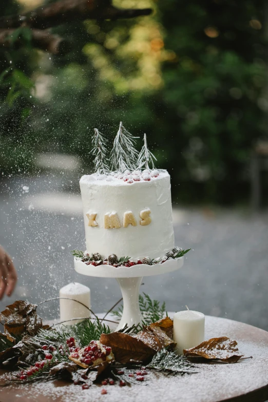 a white cake sitting on top of a wooden table, by Lucia Peka, unsplash, folk art, snowing outside, back view also, holding a birthday cake, exterior shot