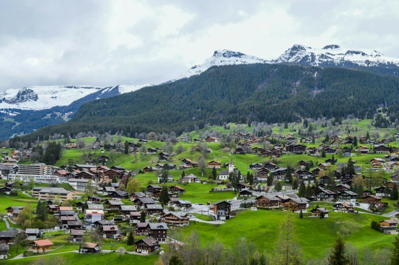 a view of a village with mountains in the background, by Daniel Seghers, pexels contest winner, renaissance, swiss modernizm, a green, beautiful panoramic imagery, jen atkin