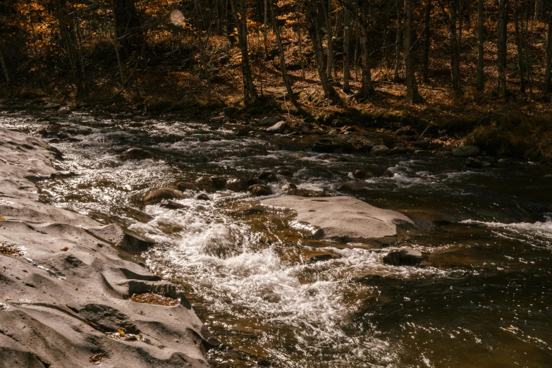 a stream running through a forest filled with lots of rocks, pexels contest winner, mid fall, river rapids, nice afternoon lighting, instagram post