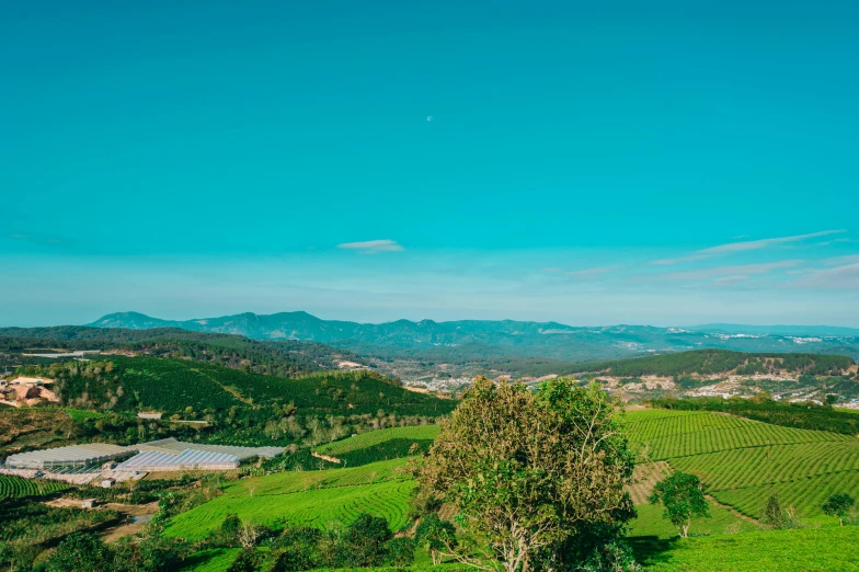 a green field with mountains in the background, inspired by Paul Cézanne, unsplash contest winner, sumatraism, overlooking a valley, bulli, wine, clear blue skies