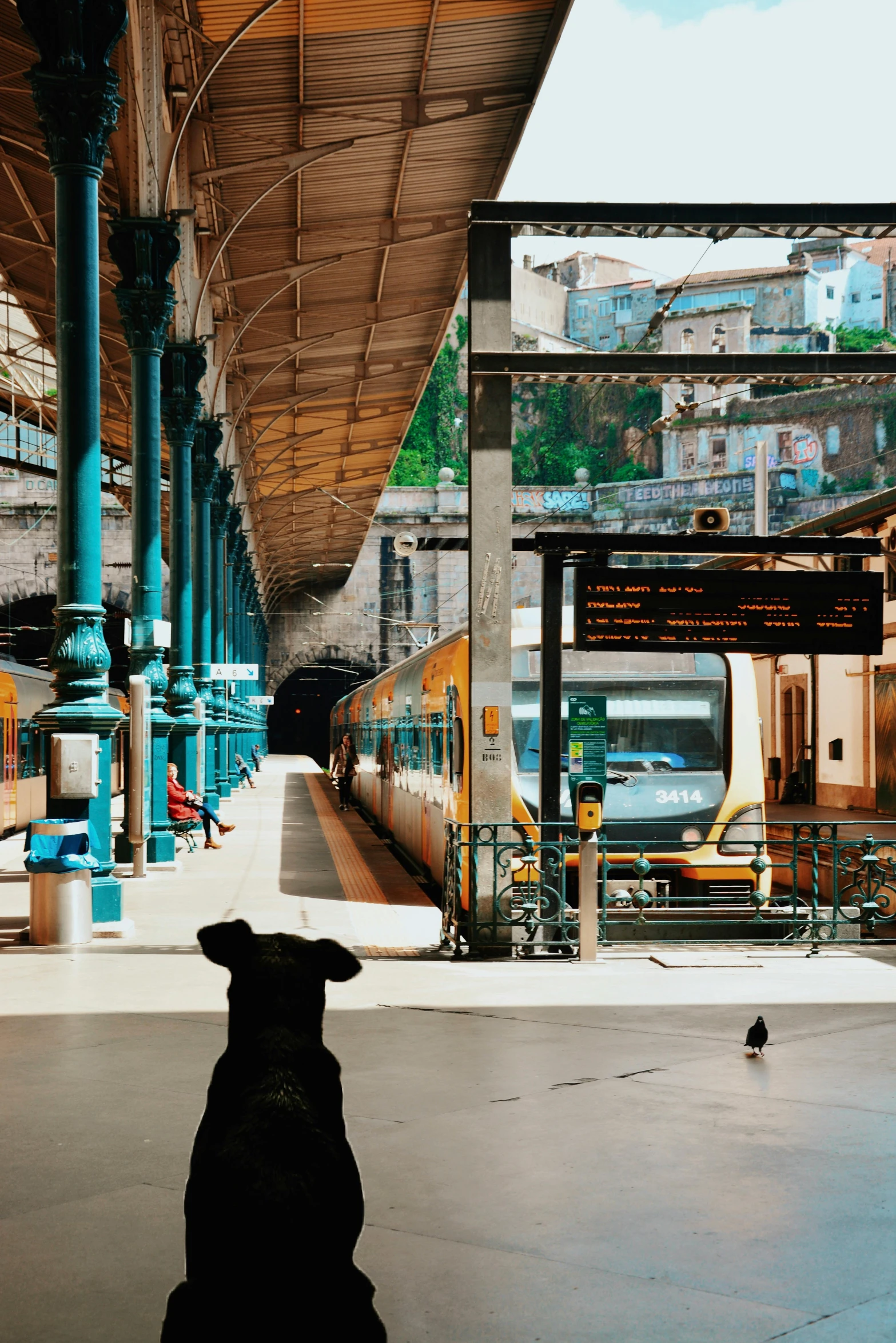 a dog sitting in the middle of a train station, inspired by Steve McCurry, pexels contest winner, regionalism, french architecture, square, market setting, from the distance