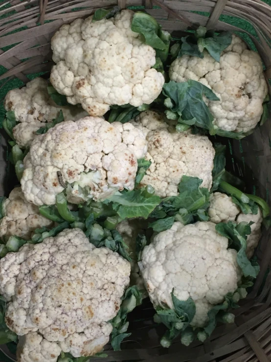 a close up of a basket of cauliflower, reddit, renaissance, looking towards camera, promo image, slight bloom, white in color