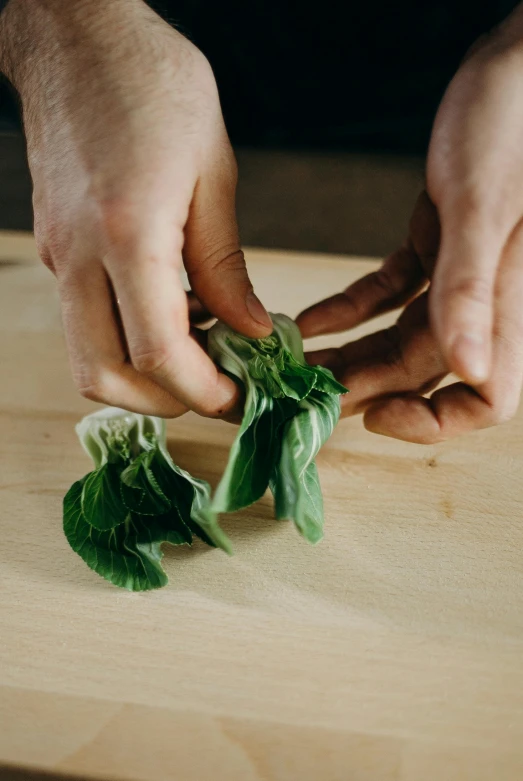 a close up of a person cutting vegetables on a cutting board, by Richmond Barthé, basil leaves instead of leaves, dynamic folds, mini model, datura