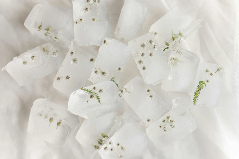 a bunch of ice cubes sitting on top of a table, patchy flowers, white witch, subtle detailing, fern