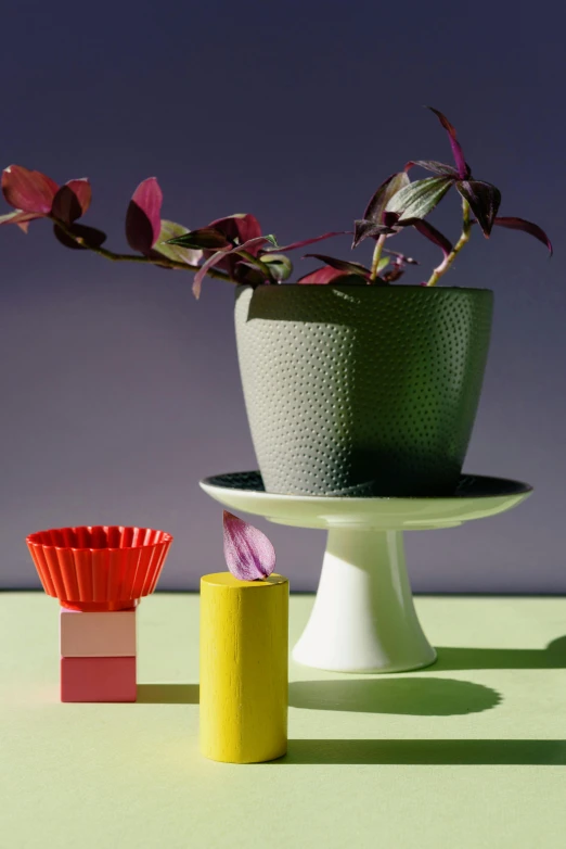 a potted plant sitting on top of a cake plate, a still life, inspired by Bauhaus, unsplash, bauhaus, bright construction materials, green and purple studio lighting, crimson themed, vessels