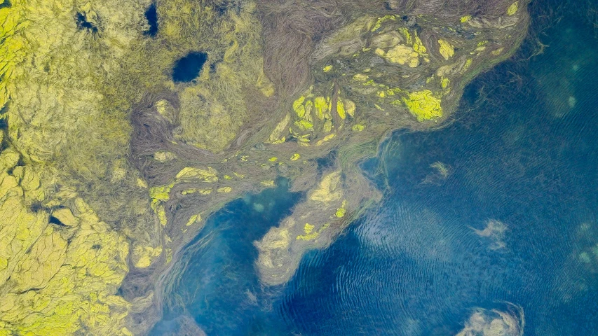 an aerial view of a body of water, inspired by Attila Meszlenyi, hurufiyya, swamp gas, nasa true color 8k image, bolts of bright yellow fish, norilsk