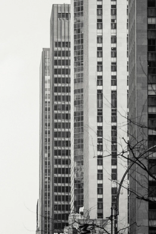 a black and white photo of a city street, a black and white photo, inspired by André Kertész, brutalism, forest setting with skyscrapers, ( ( photograph ) ), square lines, 8k 50mm iso 10