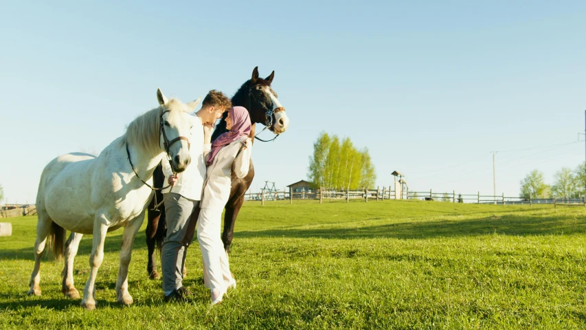 a couple of horses that are standing in the grass, horse rider, profile image, central farm, thumbnail