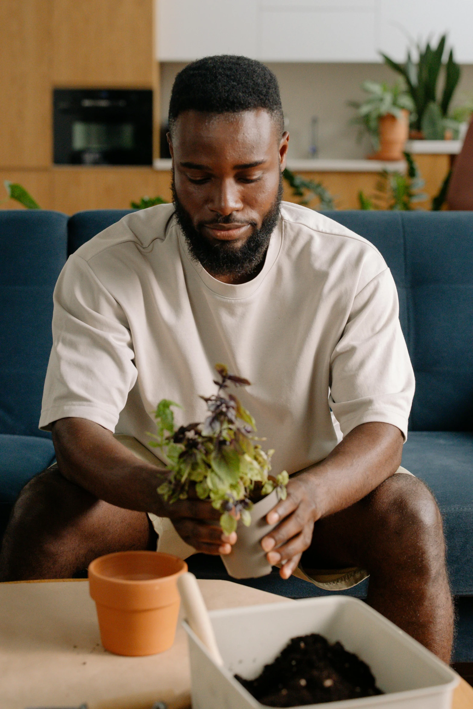 a man sitting on a couch holding a plant, pexels contest winner, renaissance, cutting a salad, black man, mc ride, planters