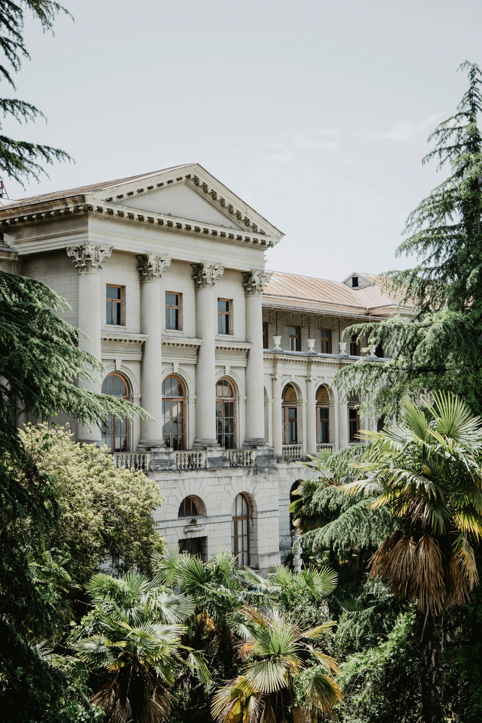 a large white building surrounded by trees, unsplash, heidelberg school, venice biennale's golden lion, grand library, 2 0 0 0's photo, lush surroundings