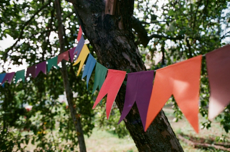 a bunch of colorful flags hanging from a tree, by Helen Stevenson, unsplash, paper decoration, blank, cardboard, velvet