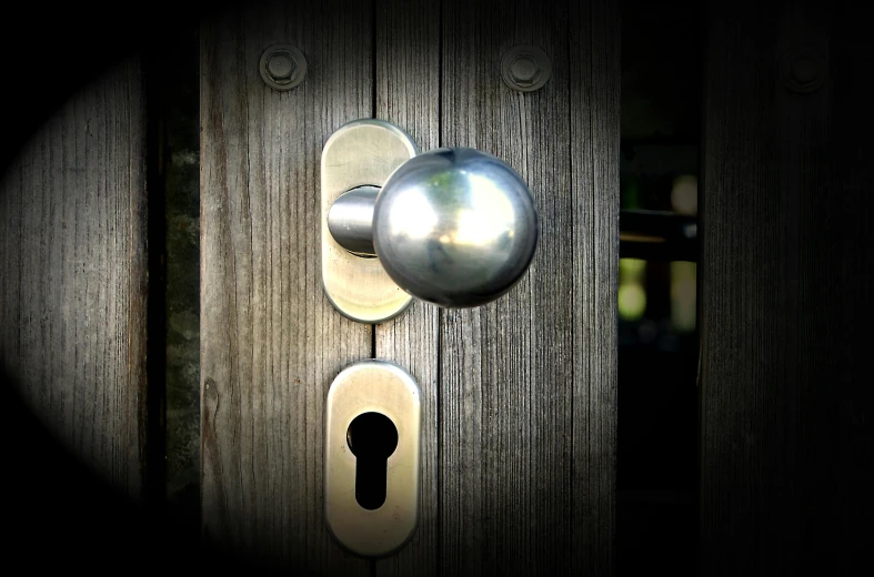 a close up of a door handle on a wooden door, pexels contest winner, surrealism, spherical, silver, gardening, (night)