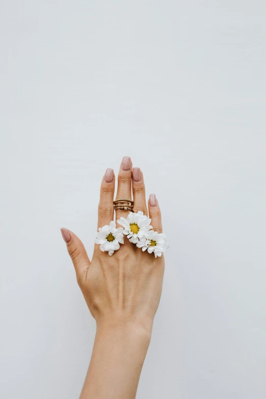 a woman's hand holding a flower ring, trending on pexels, minimalism, chamomile, white background : 3, made of flowers, jewelry