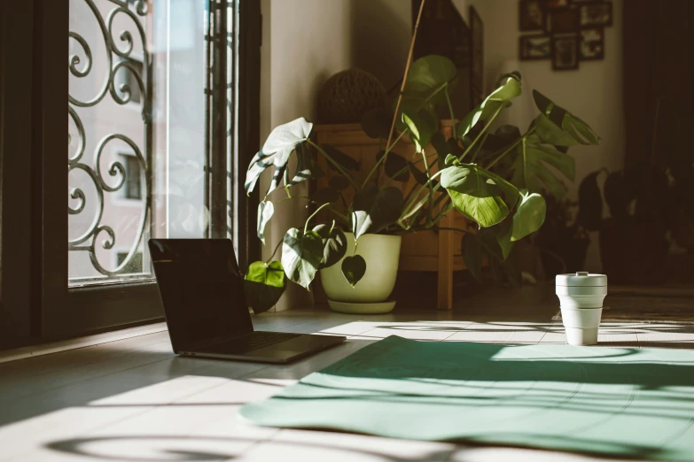 a laptop computer sitting on top of a table, by Carey Morris, trending on unsplash, arts and crafts movement, big interior plants, sun puddle, green and black color scheme, early morning