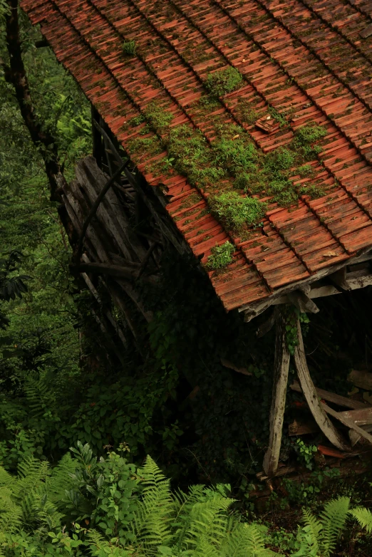 an old building in the middle of a forest, inspired by Filip Hodas, pexels contest winner, renaissance, roof with vegetation, mill, close-up from above, vine covered