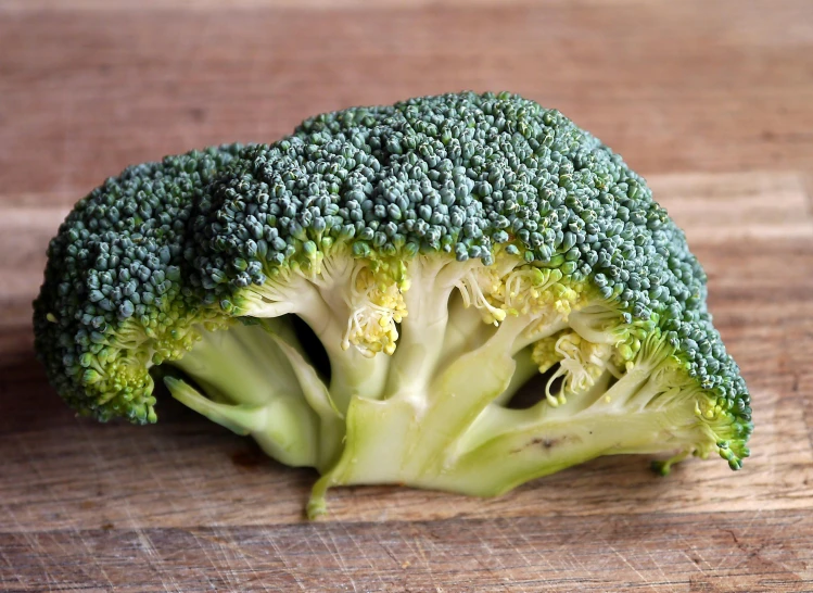 a piece of broccoli sitting on top of a wooden table, pexels, 🦩🪐🐞👩🏻🦳, front facing the camera, listing image, grey