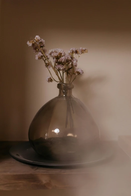 a vase filled with flowers sitting on top of a table, a still life, unsplash, brown mist, medium format. soft light, round bottle, verbena