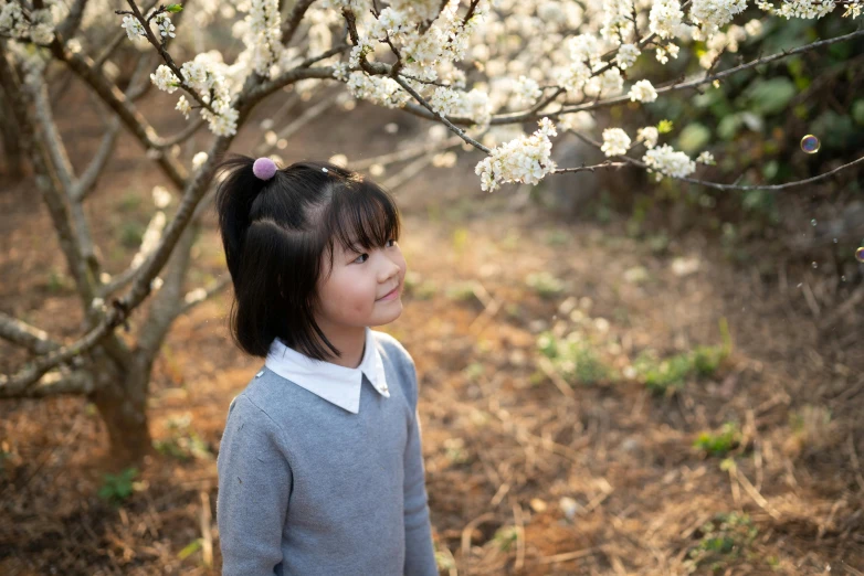 a little girl standing in front of a tree, inspired by Kaii Higashiyama, pexels contest winner, plum blossom, botanic garden, avatar image, white blossoms