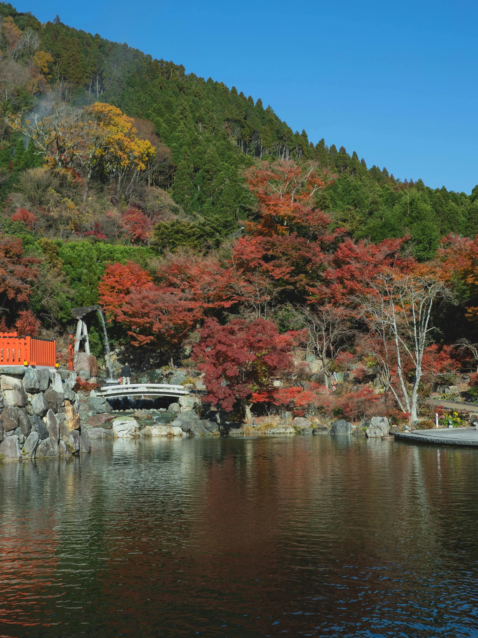 a train sitting on top of a train track next to a body of water, sōsaku hanga, red trees, coloured photo, panoramic, full frame image