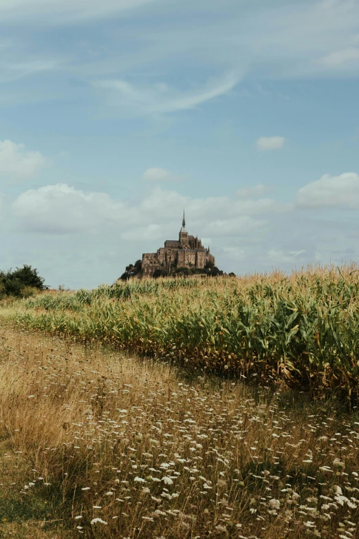 a corn field with a castle in the background, by Romain brook, unsplash, on an island, french village exterior, brown, low quality photo