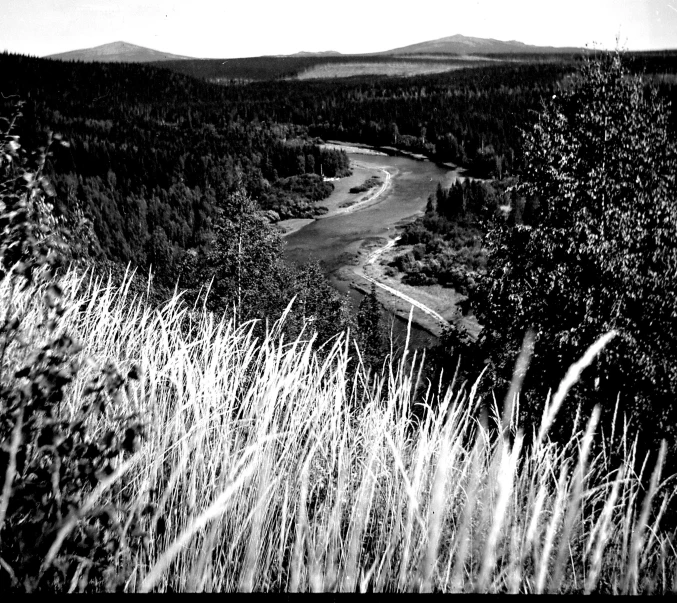 a black and white photo of a river running through a forest, hurufiyya, fields in foreground, eastman 5384 film, sweeping vista, kalevala