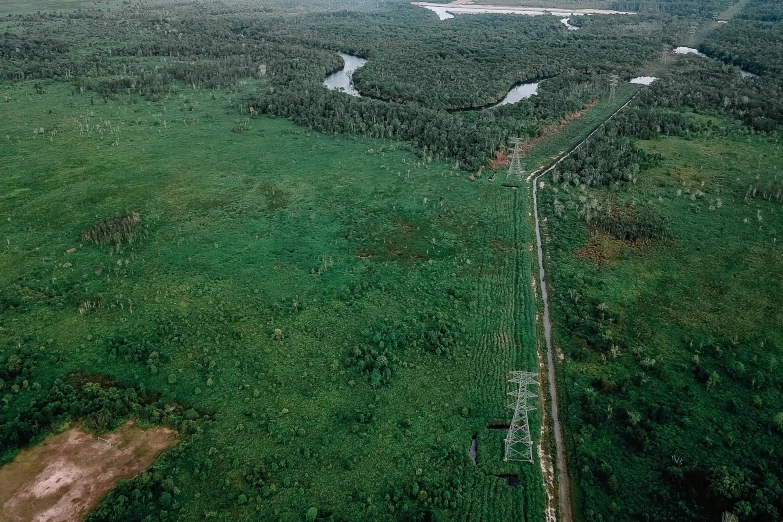 a train traveling through a lush green countryside, an album cover, pexels contest winner, hurufiyya, power lines, swamp forest, aerial view cinestill 800t 18mm, high quality picture