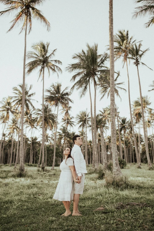 a man and a woman standing in front of palm trees, by Jessie Algie, pexels contest winner, sumatraism, wearing white cloths, romantic landscape, in front of white back drop, background image