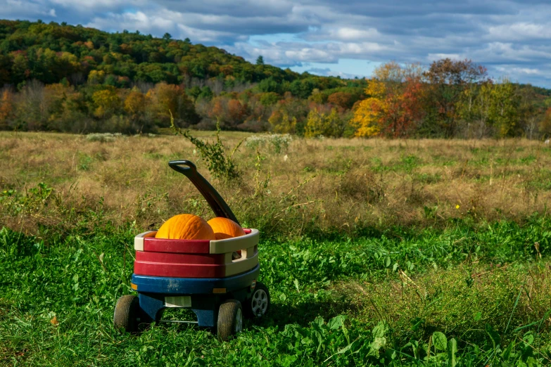 a wagon full of pumpkins in a field, unsplash, hudson river school, chartreuse and orange and cyan, portrait mode photo, mine cart, view from the side