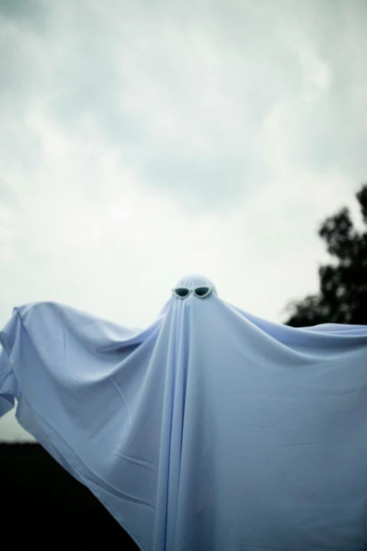 a ghost covered in a sheet with trees in the background, pexels, happening, made of fabric, skies behind, costume, pareidolia