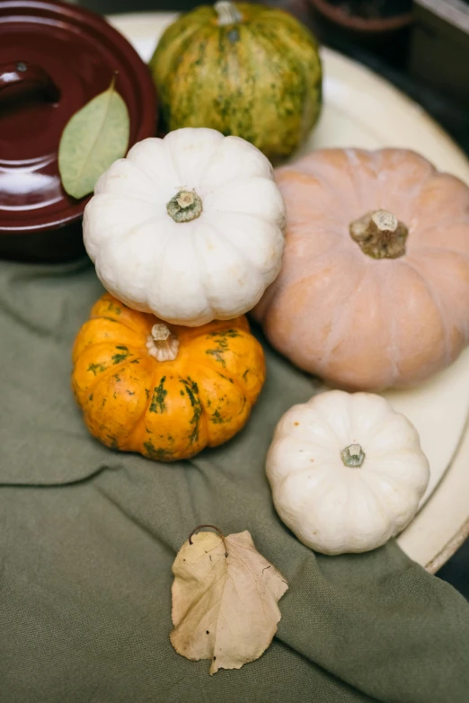 a white plate topped with different types of pumpkins, a still life, unsplash, square, pot, full frame image, trending photo