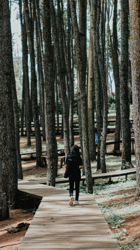 a person walking down a wooden path through a forest, inspired by Elsa Bleda, unsplash contest winner, hanging trees, wooden structures, pine, obscured hooded person walking