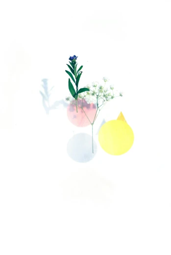 a vase filled with flowers sitting on top of a table, a picture, inspired by jeonseok lee, minimalism, made of oil and water, illustration”, color photograph, lemon