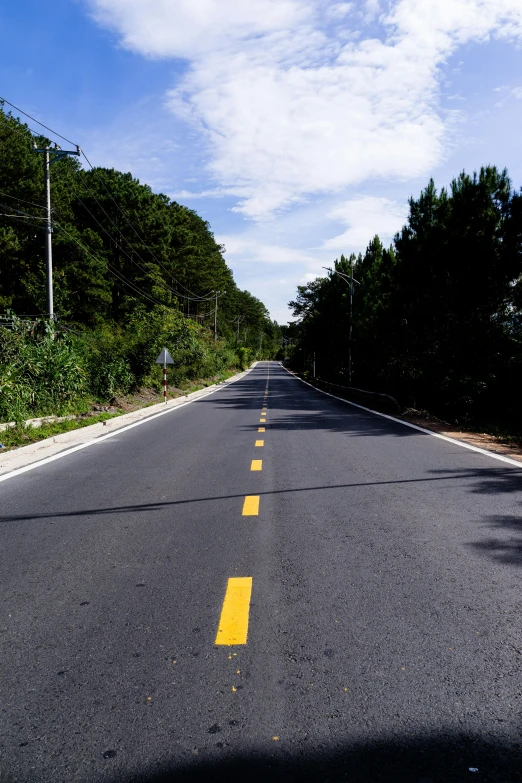 a man riding a motorcycle down the middle of a road, an album cover, inspired by Huang Guangjian, unsplash, realism, yellow, road between tall trees, very elongated lines, south korea