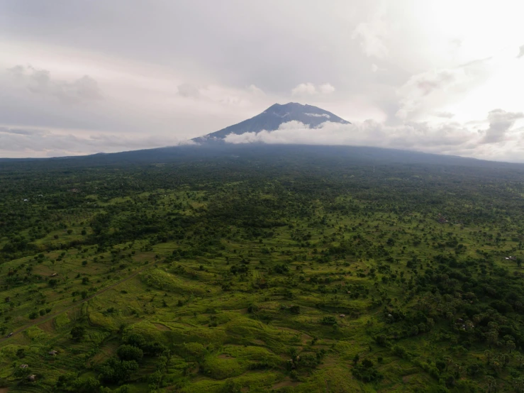 an aerial view of a mountain in the distance, hurufiyya, 🐋 as 🐘 as 🤖 as 👽 as 🐳, covered with vegetation, dan mumfor, multiple stories