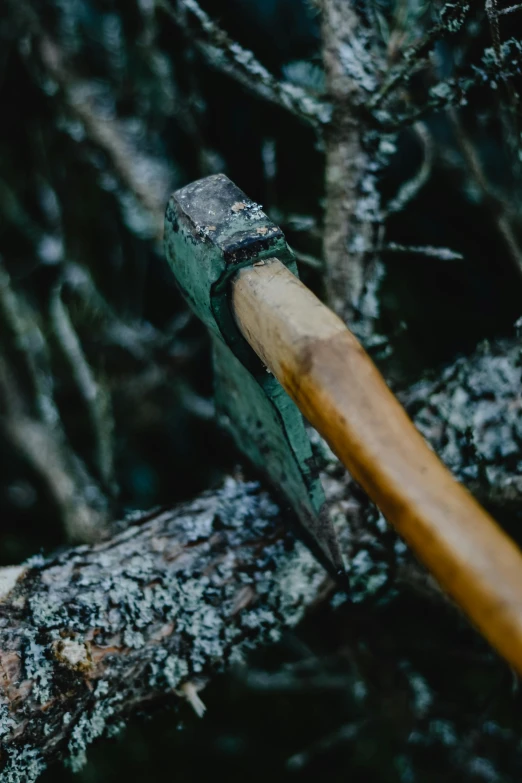 an axe stuck in the branches of a tree, by Jesper Knudsen, unsplash, renaissance, sweaty and gross pioneer work, thumbnail, multiple stories, profile image