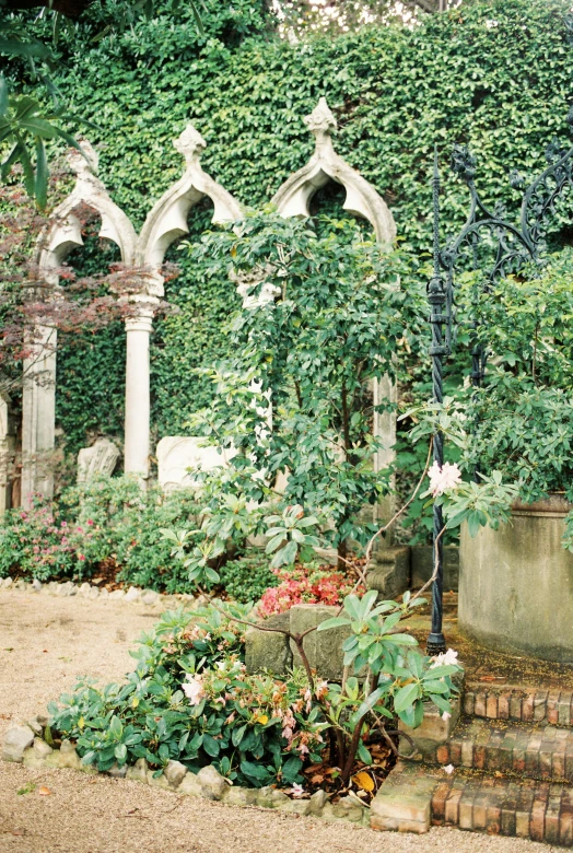 a garden filled with lots of green plants, inspired by Eleanor Fortescue-Brickdale, renaissance, arches adorned pillars, taken with kodak portra, gothic revival, stone pews