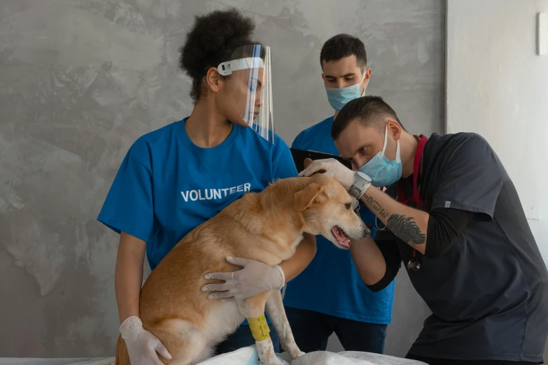 a couple of people standing next to a dog, with wires and bandages, on a canva, healthcare worker, thumbnail