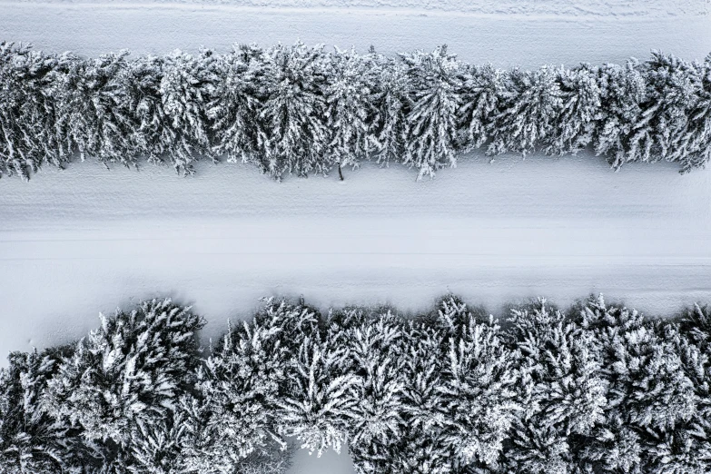 a couple of trees that are covered in snow, inspired by Pierre Pellegrini, unsplash contest winner, land art, top down perspecrive, hedge, highly microdetailed, edge to edge