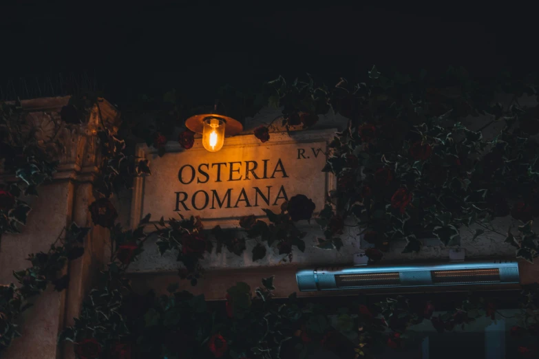 a street sign hanging from the side of a building, by Julia Pishtar, unsplash contest winner, romanticism, sitting in a cemetery at night, restaurant menu photo, fedosenko roman, portal made of roses