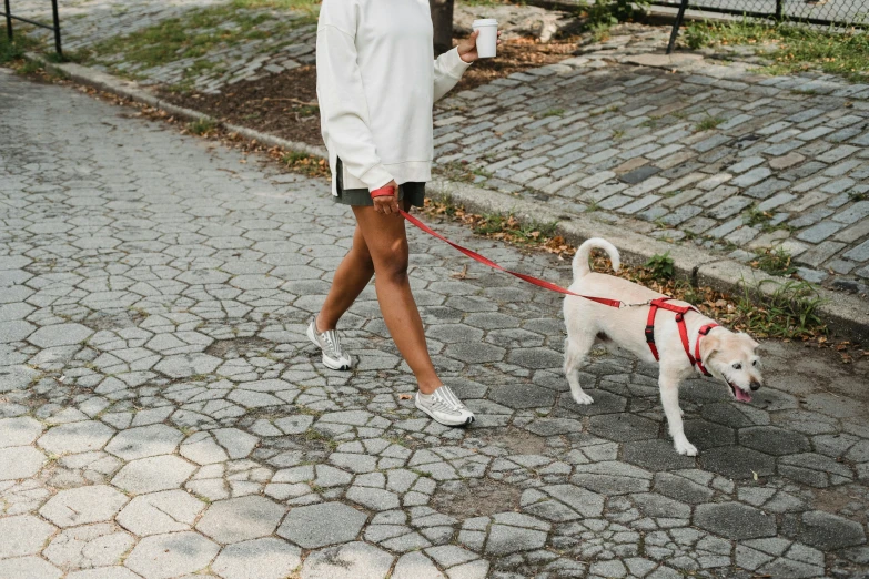 a woman walking a dog on a leash, trending on unsplash, white and red body armor, wearing white sneakers, wearing a white sweater, parks