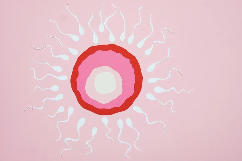 a close up of a painting on a wall, inspired by Francesco Clemente, trending on pexels, feminist art, pink sun, medical drawing, an egg, pink light