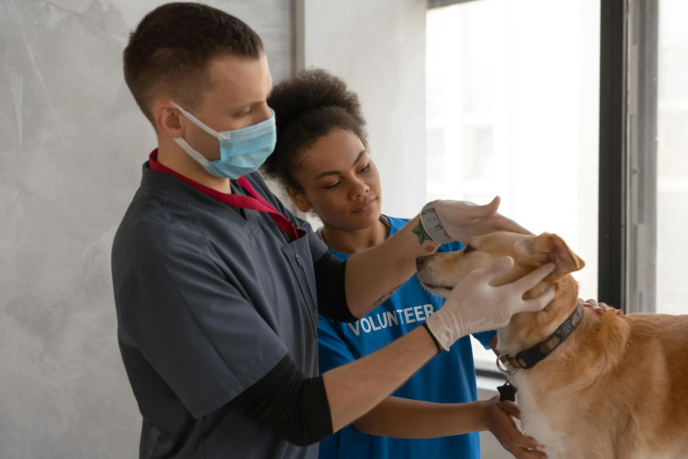 a man and a woman are petting a dog, pexels contest winner, healthcare worker, cavities, profile image, 1 2 9 7